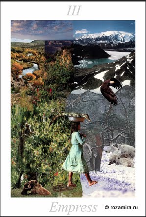 Nature Tarot by Jan Strube